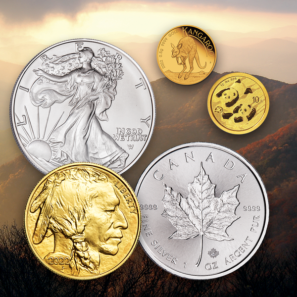 Supplies Needed for Coin Collecting - Numismax