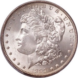 1899 Morgan Silver Dollar Main Image
