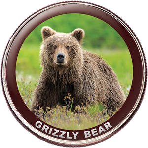 Grizzly Bear Colorized Kennedy Half Dollar Main Image