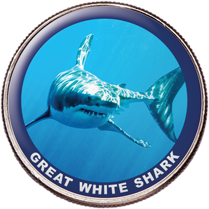 Great White Shark Colorized Kennedy Half Dollar Main Image