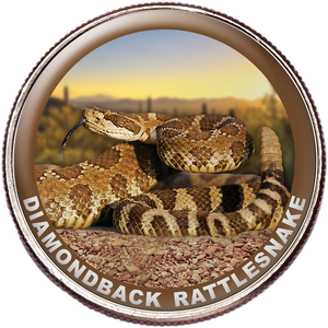 Rattlesnake Colorized Kennedy Half Dollar Main Image