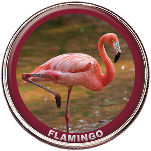 Flamingo Colorized Kennedy Half Dollar Main Image
