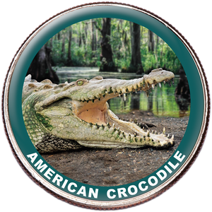 Crocodile Colorized Kennedy Half Dollar Main Image
