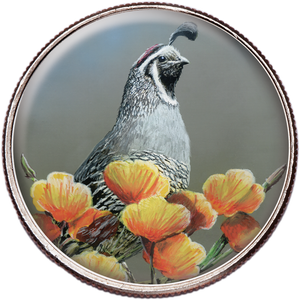 50 State Birds & Flowers - California Main Image