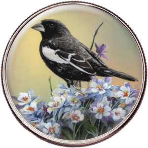 50 State Birds & Flowers - Colorado Main Image