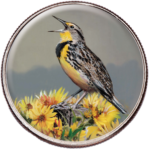 50 State Birds & Flowers - Kansas Main Image