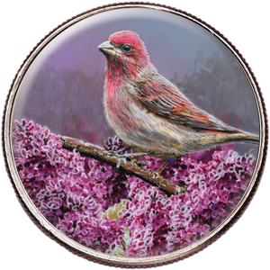 50 State Birds & Flowers - New Hampshire Main Image