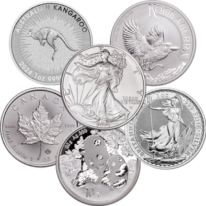 Big Bold Silver Coins of 2024 Main Image