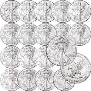 2002-2024 American Eagle Silver Dollar Set Main Image