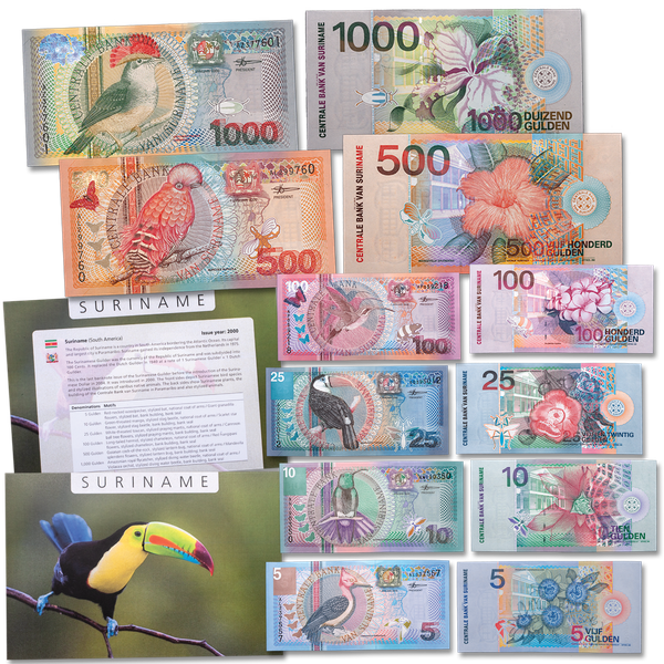 2000 Suriname Note Set - Birds