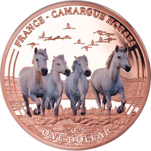 2025 Camargue Horses Copper Dollar