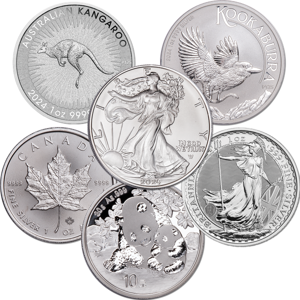 Big Bold Silver Coins of 2024